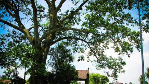 Học, học nữa, học mãi!